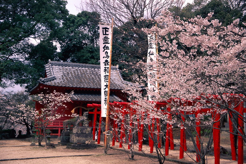 Ogi park