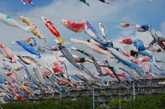 Osaka, Koinobori, Event,