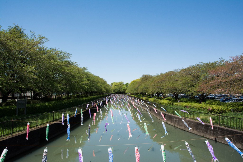 Tatebayashi, Gunma, Koinobori, Festival