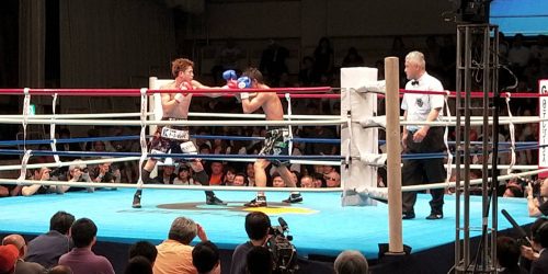 Korakuen hall in Tokyo to watch japanese martial arts