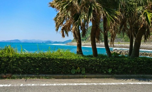 Route 220 Beach Road Trip Miyazaki Kyushu Japan