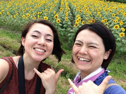 Yosano Sunflower Fields Kyotango Tango Kyoto Summer Nature Coast