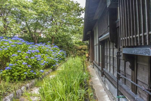Goushikan Inn Ryokan Traditional Accommodation Local Cuisine Niigata Prefecture Murakami Garden