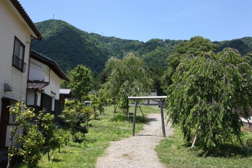 Yahiko Nature Iwamuro Onsen Traditional Accommodation Ryokan