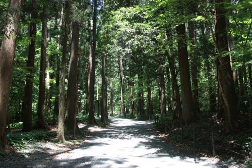 Mt. Yahiko Hiking Nature Cable Car Iwamuro Onsen Niigata Prefecture