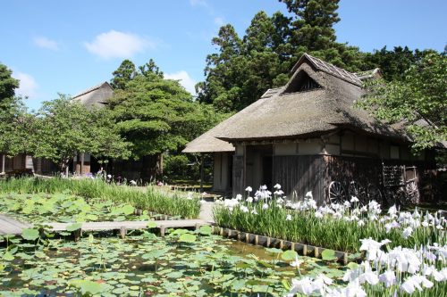 Niigata City Ito Family Edo Era Cultural Heritage Traditional Buildings Japanese Gardens Northern Culture Museum 