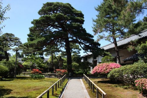 Niigata City Ito Family Edo Era Cultural Heritage Traditional Buildings Japanese Gardens Northern Culture Museum 