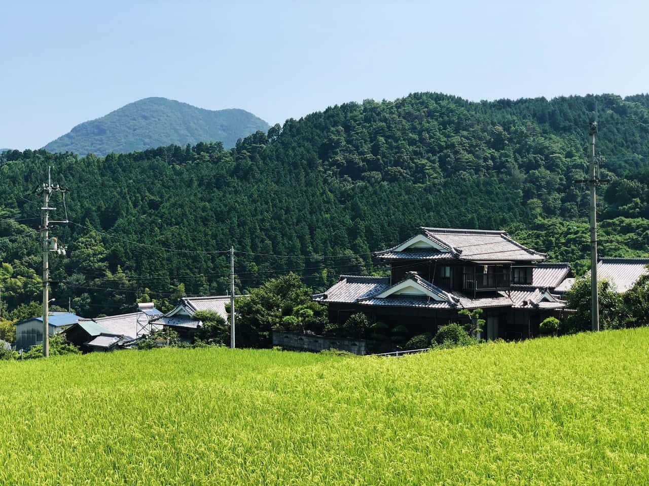 a view of rice fields, mountains, and houses in japan