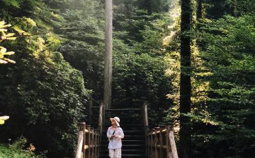 Trekking experience in the mountain side at Toon city, Ehime Prefecture.
