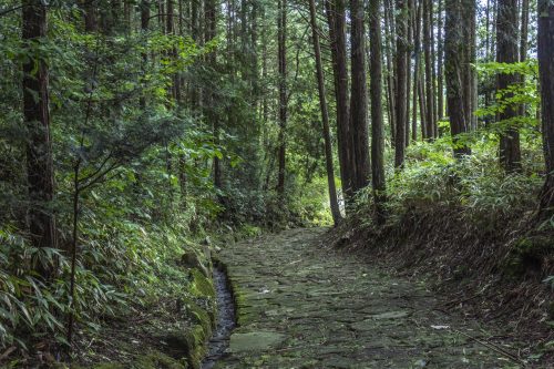 Forest crossing during the Nakasendō hike, Gifu prefecture, Japan