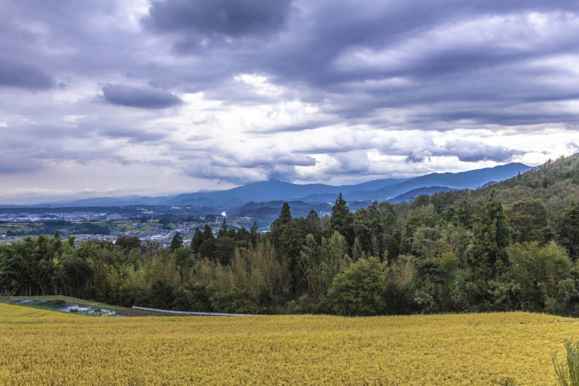 A Guide to Hiking the Nakasendo Trail from Nakatsugawa Post Town