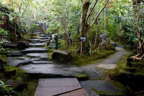 Discover Amagase Onsen in Hita: Stay in a Ryokan in Oita Prefecture, Kyushu, Japan.