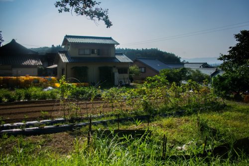 Vegetable garden of a farm near the city of Usuki, Oita Prefecture, Japan