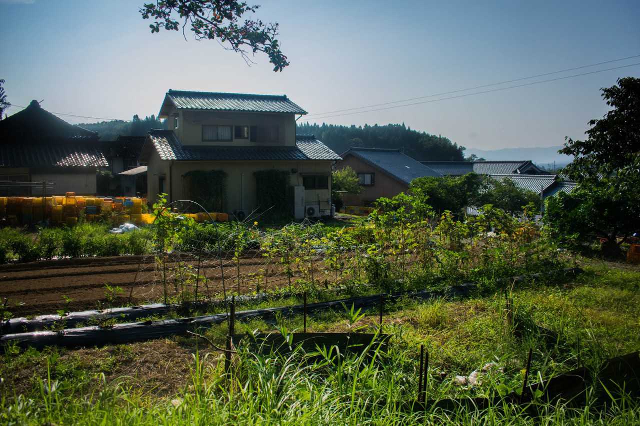 Experience Japan’s Green Tourism in Kyushu: A farm Stay Near Usuki