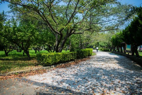 Castle Park in Usuki, Oita Prefecture, Japan