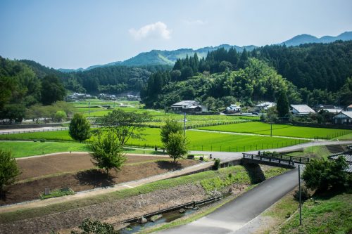 View from Hill to Stone Buddhas at Usuki, Oita Prefecture, Japan