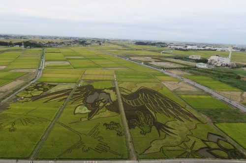 Gyoda tambo art project in Saitama Prefecture, close to Tokyo, Japan.