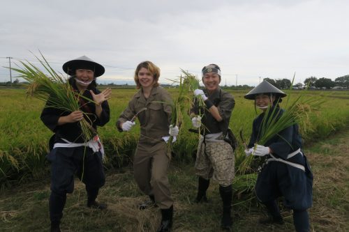 Rice Field Art Worthy of a Guiness World Record in Gyoda, Saitama