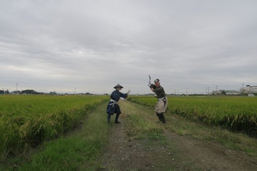 Rice Field Art Worthy of a Guiness World Record in Gyoda, Saitama