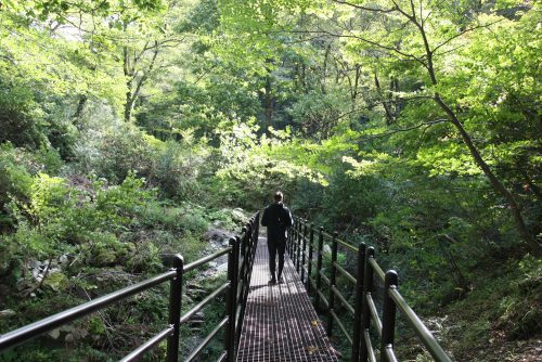 A Downhill Cycling from Mt Daisen to the Sea of Japan, Tottori, Japan.