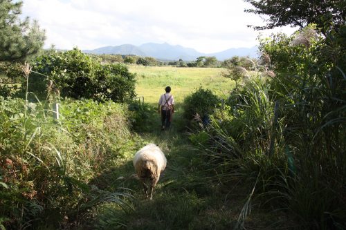 A Downhill Cycling from Mt Daisen to the Sea of Japan, Tottori, Japan.