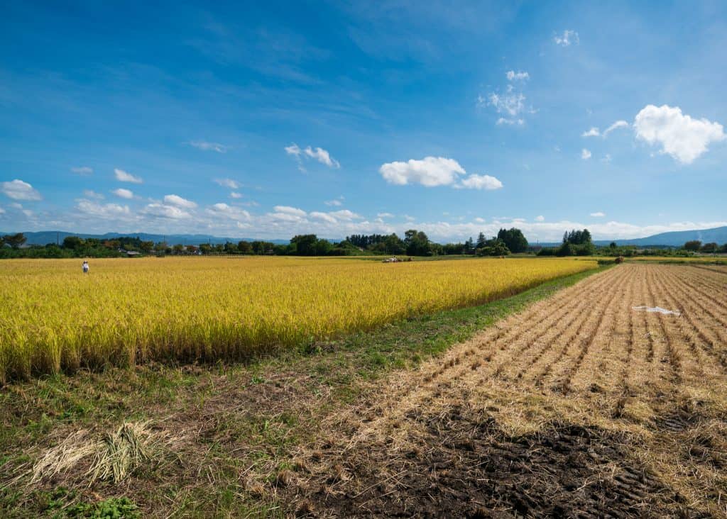 Exploring The Natural and Historic Beauty of Fukushima City's Parks