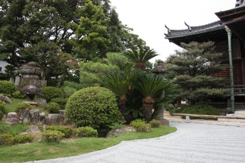 a zen break at Kinshoji temple in Karatsu, Saga, Kyushu, Japan.