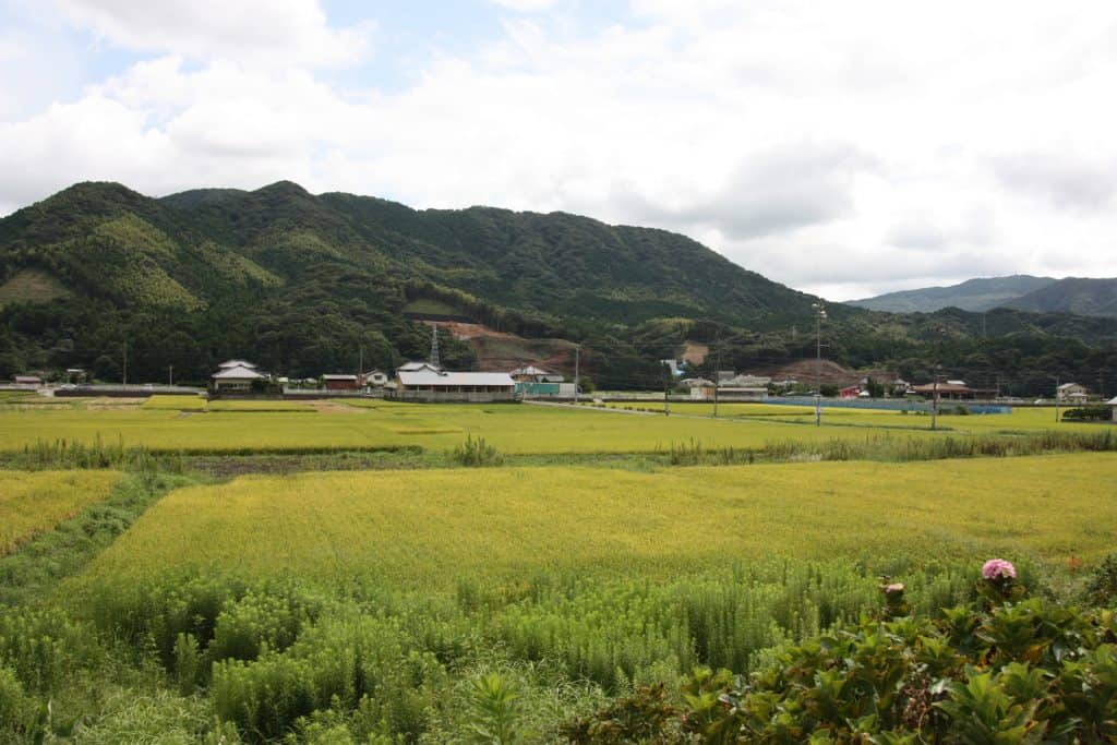 Hiking on Kawara Olle trail in Fukuoka Prefecture, Kyushu, Japan.