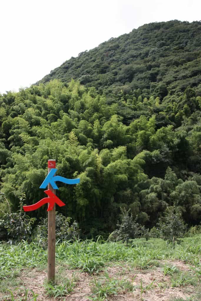 Hiking on Kawara Olle trail in Fukuoka Prefecture, Kyushu, Japan.