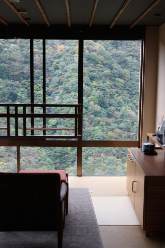 Room with a view at Iya Onsen Hotel, Tokushima Prefecture.