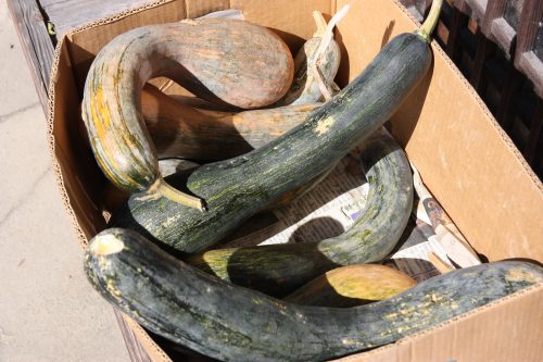 Vegetables for sale in Udatsu, Tokushima.