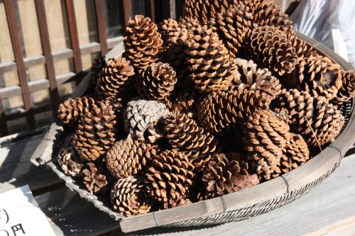 Tray of pine cones in Udatsu.