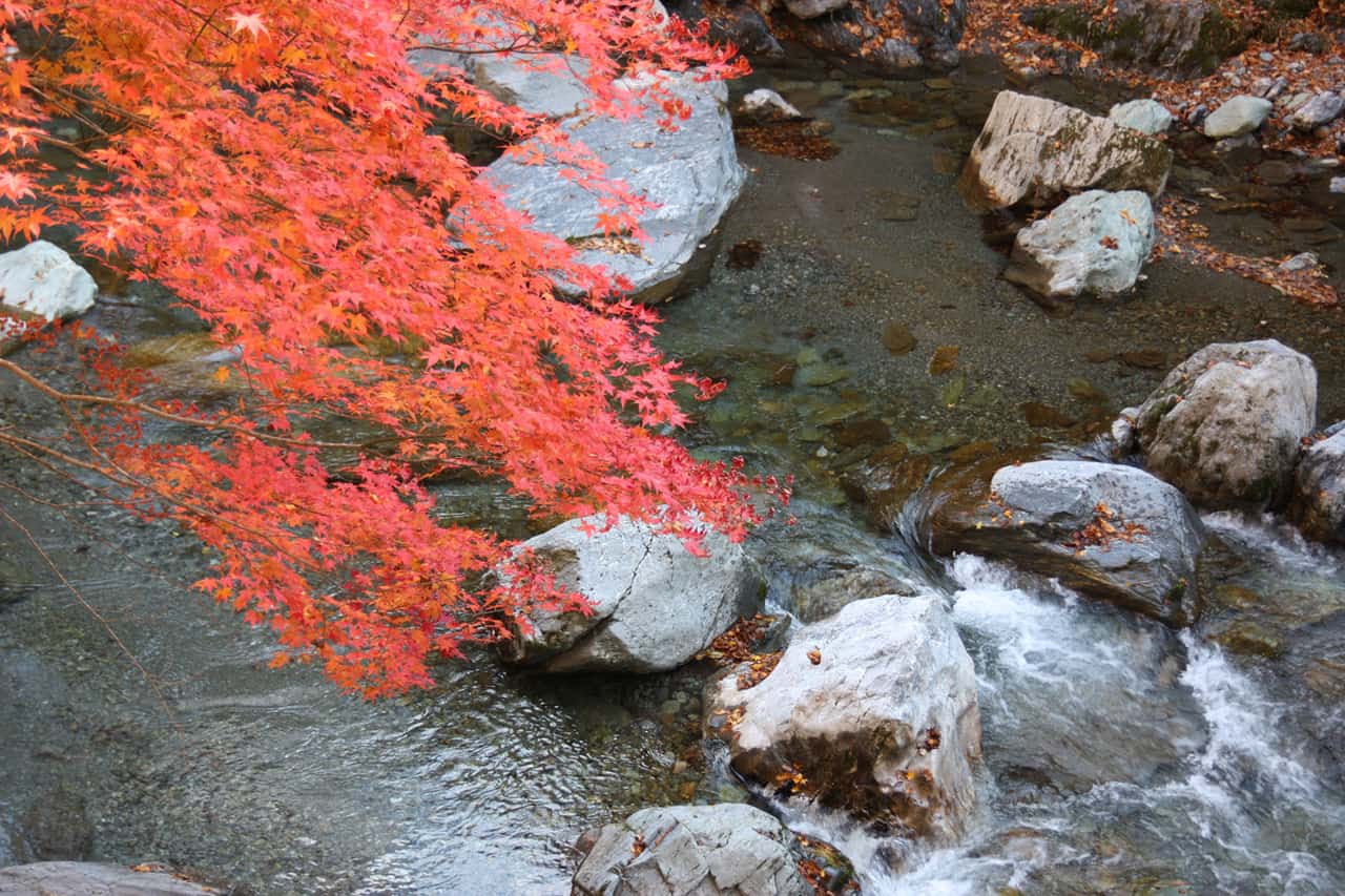 Uncover the Mysteries of Tokushima's Iya Valley