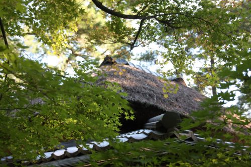 Lovely Ritsurin Garden in Takamatsu, Kagawa Prefecture in Eastern Shikoku.