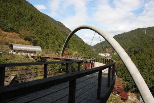 Forest Adventure Zip Line Tour over the Iya Valley, Tokushima.