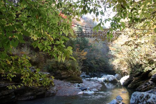 Vine Bridge at Iya Valley, Tokushima.