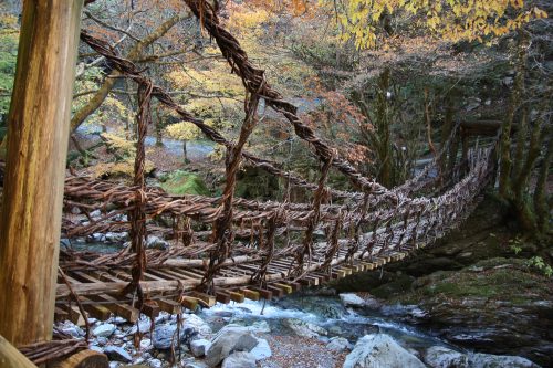 Ivy Bridge at Iya Valley, Tokushima.