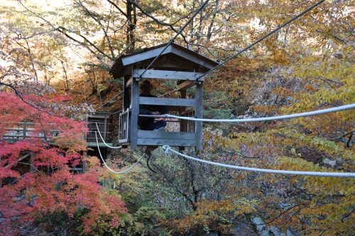 Wild Monkey Bridge at Iya Valley, Tokushima.