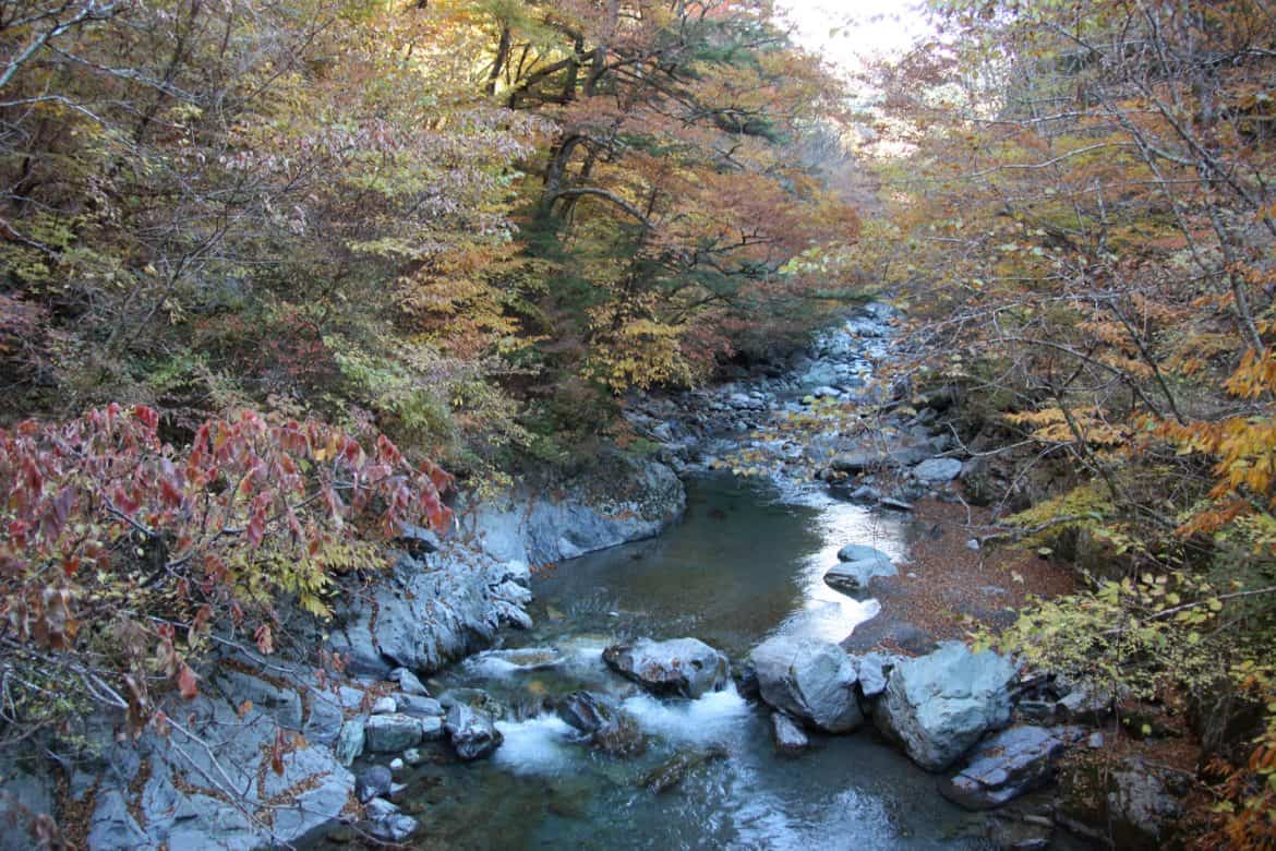 A Shikoku guide: wild beauty and cultural wealth in the eastern part of ...