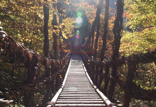 Vine Bridge at Iya Valley, Tokushima.