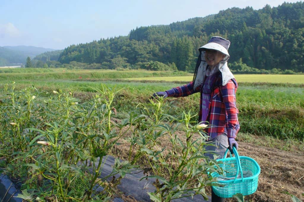 Kunisaki Peninsula, Maruka, Farm Stay, Green Tourism, Oita Prefecture, Kyushu