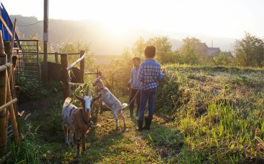 Green Tourism, Farm Stay Experience, Oita Prefecture, Kyushu