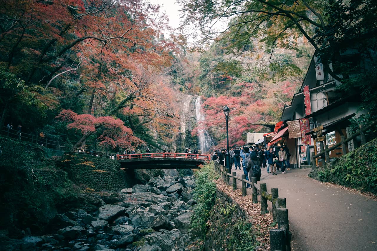 Osaka’s Mount Mino – Autumn Foliage So Good You Can Taste It!