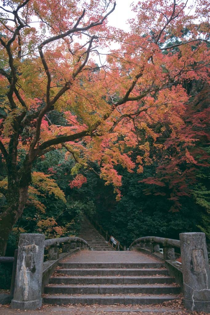 Autumn colors on the heights of Minoh, Osaka, Kinki region, Japan