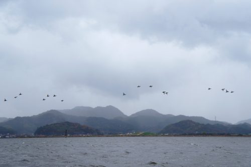 Cruise on Nakaumi Lake in Yonago, San'in Region, Tottori, Japan