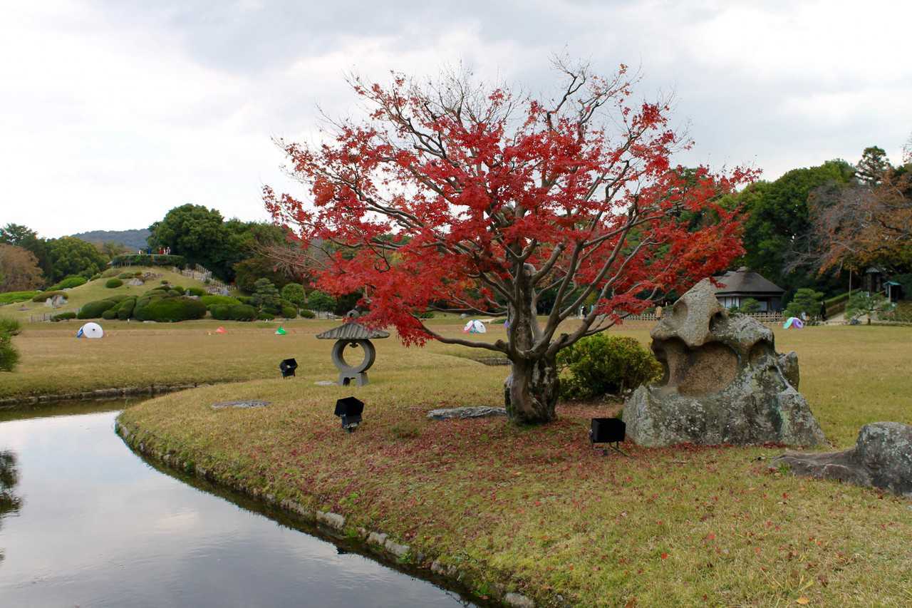 Korakuen Garden and Okayama Castle Fall Foliage