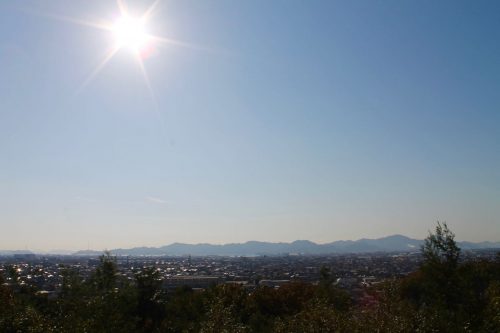 Sogenji Temple Buddhist Monastery Fall Foliage Okayama Prefecture