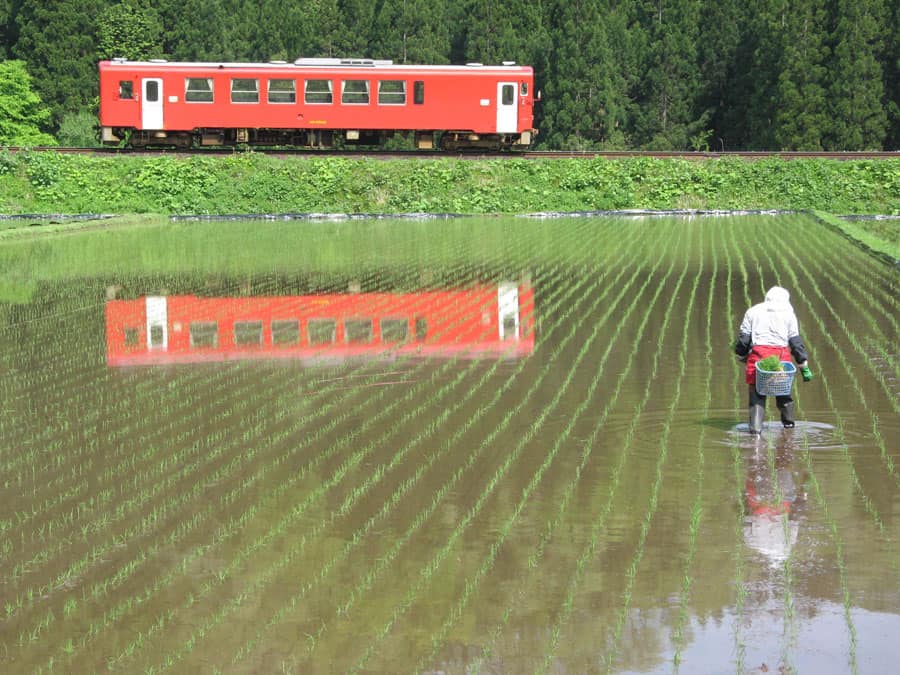 Rice planting in Akita along the Nairiku Train Line