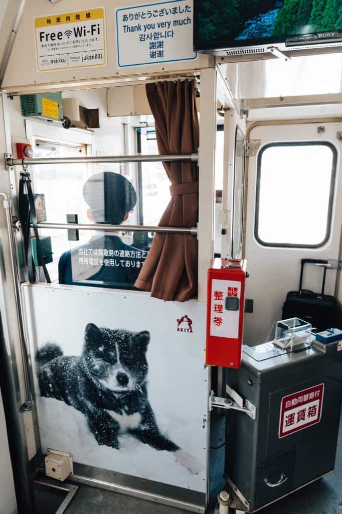 Pictures of Akita puppies on the Akita Nairiku train.