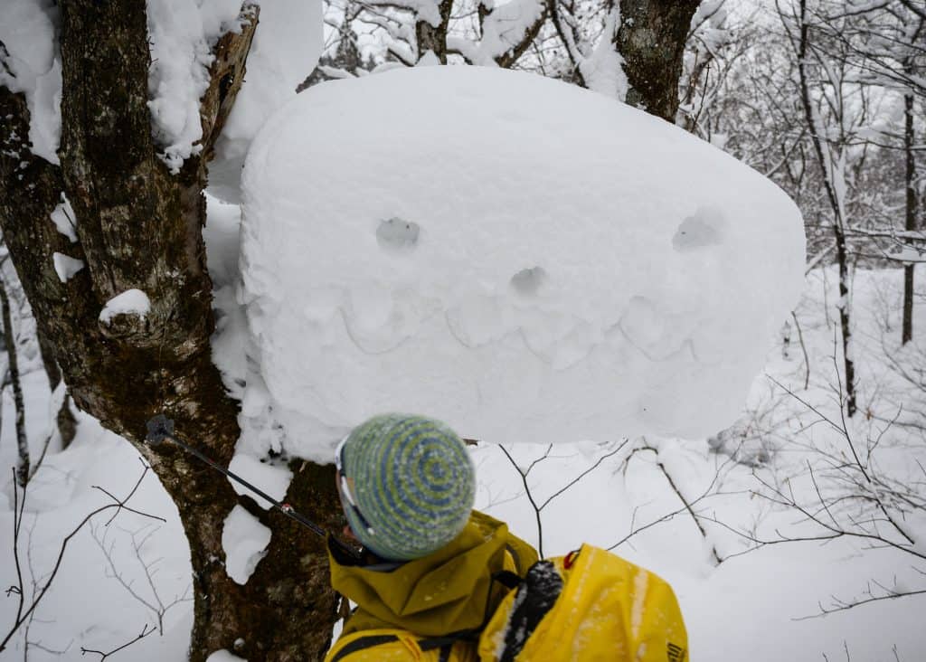 Japanese powder snow in Lake Tazawa, Akita, Tohoku, Japan.